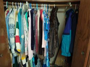 lot 424 image: Contents Of Closet