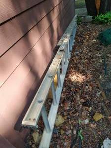 lot 515 image: Extension Ladder