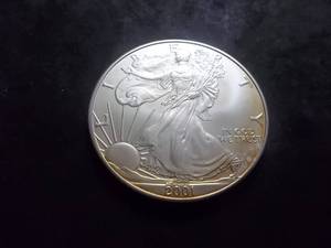 2001 Silver Eagle 1 Oz. Fine Silver