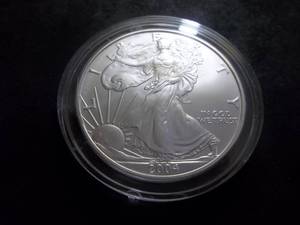 2004 Silver Eagle 1 Oz. Fine Silver