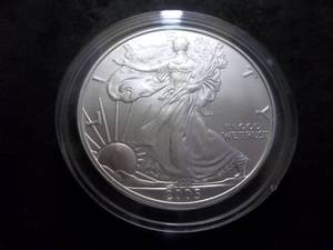 2005 Silver Eagle 1 Oz. Fine Silver