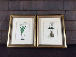 2 Botanical Prints