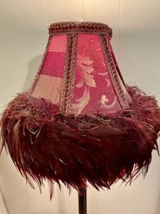 lot 216 image: Fun Feather Lamp