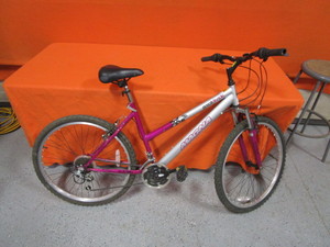 lot 108 image: 21 Speed Bike