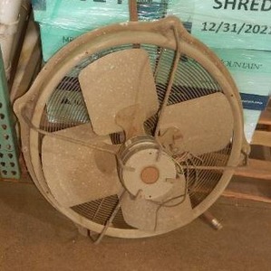 Fan