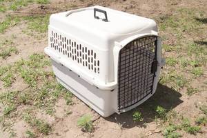lot 271 image: Bargain Hound Plastic Dog Crate