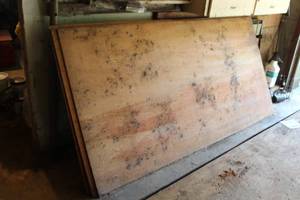 lot 881 image: Lot of Plywood Sheets