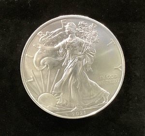 lot 3 image: 2021 American Silver Eagle Dollar