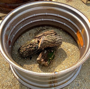 lot 6A image: Backyard Fire Ring