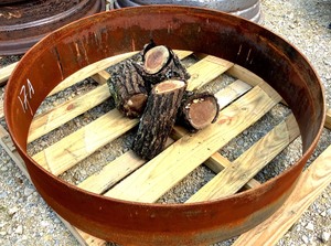 lot 17A image: Backyard Fire Ring
