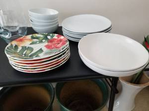 Dish Lot