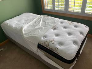 lot 102 image: Nearly new Twin Beds - One with Remote Control Adjustable Base