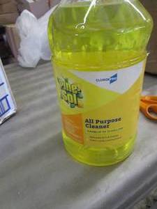 lot 231 image: 2 - 144 oz Bottles Pine Sol...