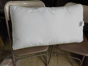 lot 11 image: Serta 20 x 36 Pillow- soiled on b...