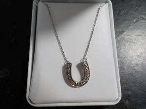 lot 368 image: Amanda rose Necklace retail $80...