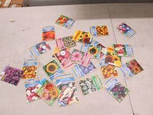 lot 150 image: 25 packages of flower seeds ...