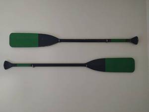Two Painted Oars