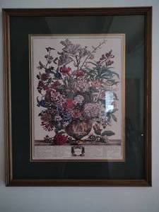 Pair of Botanical Prints