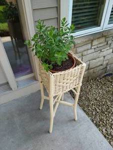 lot 183 image: Rattan Plant Stand