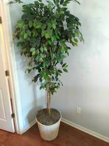 lot 175 image: Faux Tree