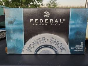 Federal 308 Winchester 180 Grain Soft Point