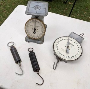 lot 247 image: Vintage Hanging Hanson Model 60 Dairy Scale & Vintage Columbia Family Scale 24lb