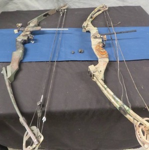 lot 23 image: FRED BEAR BOW PLUS