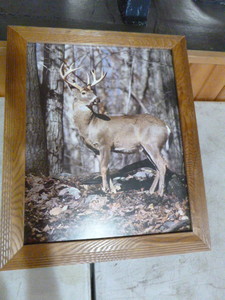 lot 64 image: Framed Deer Print