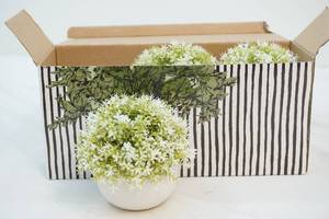lot 21 image: Plant dcor