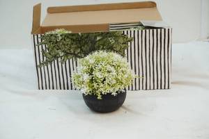 lot 24 image: Plant dcor