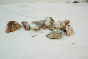 lot 64 image: Rocks collection