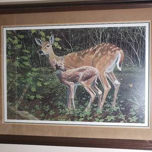 lot 60 image: Doe and Fawn Framed Print