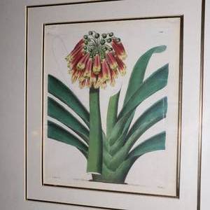 lot 71 image: Fruiting Botanical Prints