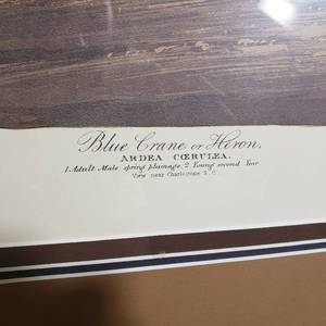 lot 25 image: Blue Crane or Heron Limited Princeton Audubon Print 4471500