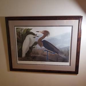lot 26 image: Purple Heron Limited Princeton Audubon Print 3361500