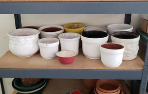 lot 120 image: Potters Heaven Collection