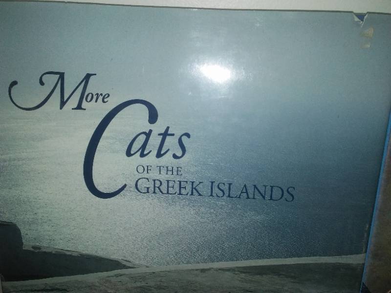 Cats & kitten Books, Geography 1891, Holy Land Books & More. BIG LOT. see all pics.