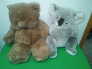 Stuffed bear and koala bear. West Cliff and Dakin