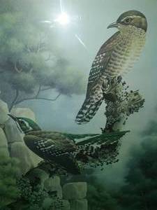 Simon Calburn Print. Mosque Swallows (26 x 20)