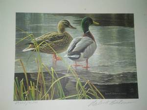 Mallard Pair Early Winter by Robert Bateman 1985,