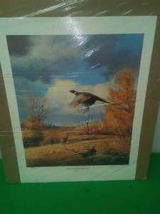 Sportsmens Habitat by John C. Green, 1988,