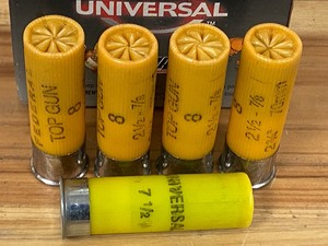 (1) Partial Box Of 20-Gauge Shotshells