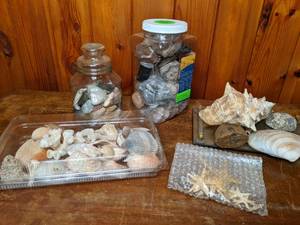 lot 425 image: Beautiful Mixed Lot of Shells & Starfish, Glass Tray, Glass Jar