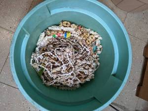 lot 507 image: Beautiful Shell Strings & Blue Bin