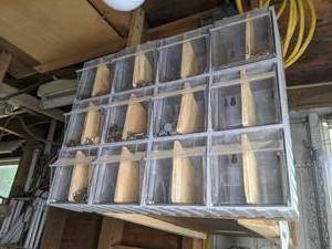 lot 824 image: 12 - Drawer Plastic Storage Cabinet