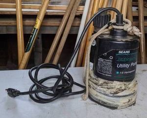 lot 48 image: Sears Submersible Utility Pump 12 HP