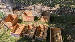 lot 821 image: Lot of (8) Vintage Fruit & Milk Crates