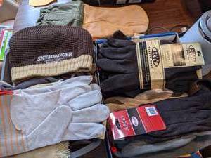 lot 858 image: Lots of Work Winter Gardening Gloves and Winter Beenie Jersey, RW Rugged Wear