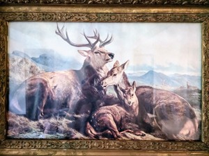 lot 435 image: Variety of Vintage Framed Prints