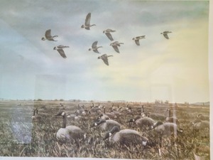 lot 453 image: Framed Still Water Morning Print by Noel Dunn